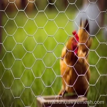 Taman Rumah Ayam Hexagonal Wire Wire Netting Fence